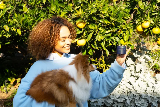 How PetLabCo.’s ProBright® Advanced Supports Canine Dental Health