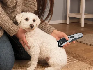 10 Best Cordless Dog Clippers in 2026: Reviews & Top Picks