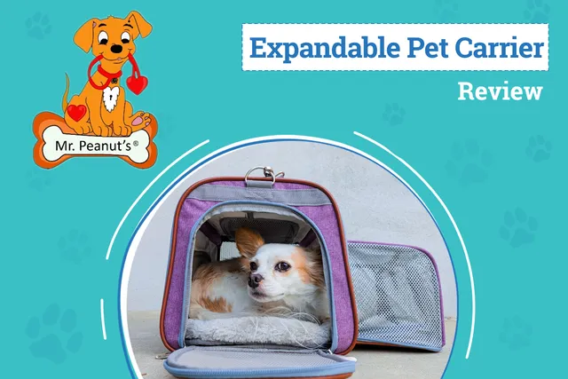 Mr. Peanut's Gold Series Expandable Pet Carrier Review 2026: A First-Class Ride for Four-Legged Travelers