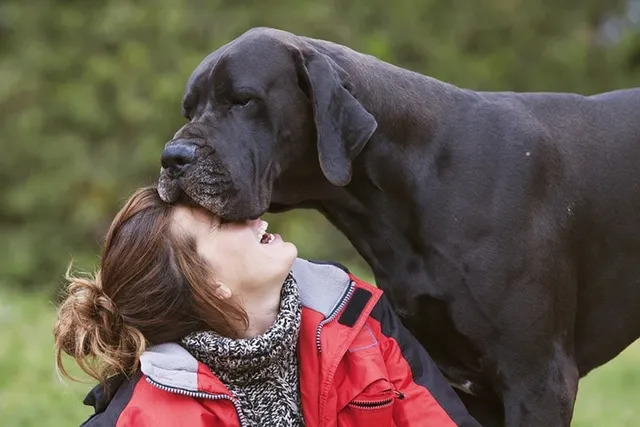 Do Dogs Know You Love Them? Here’s How to Tell