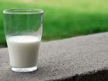 Benefits of Goat’s Milk for Dogs: 5 Incredible Health Perks