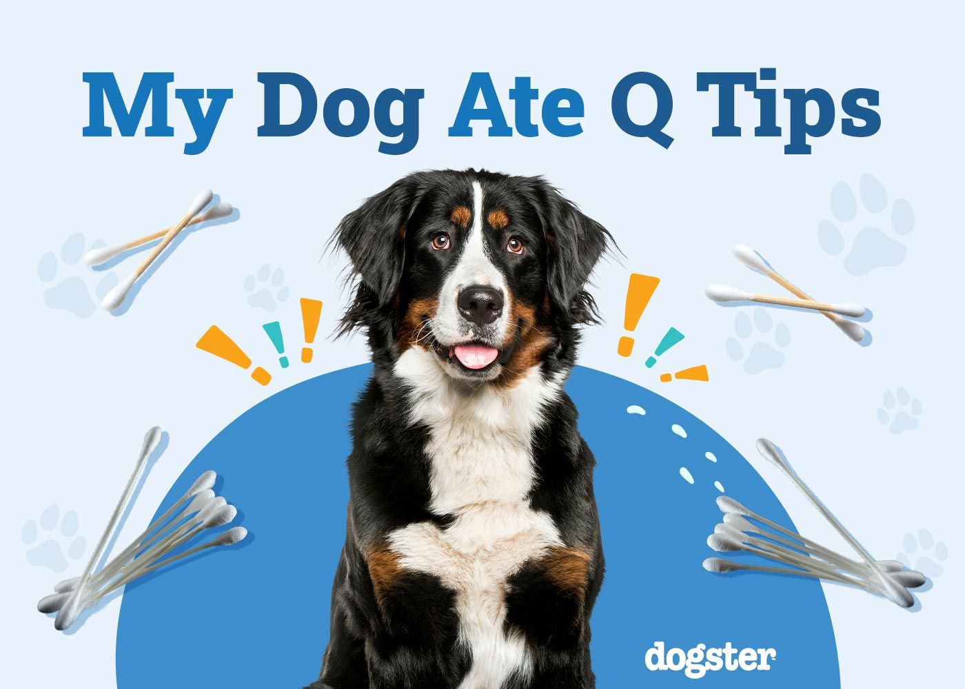 My Dog Ate Q Tips