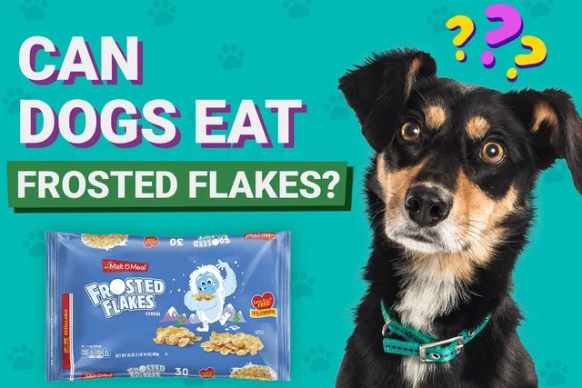 Can Dogs Eat Frosted Flakes? Vet-Verified Facts & Nutrition Guide