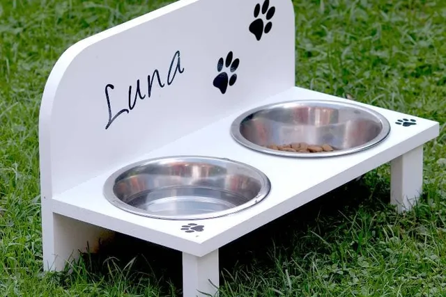 9 DIY Dog Feeders You Can Make Today (With Pictures)