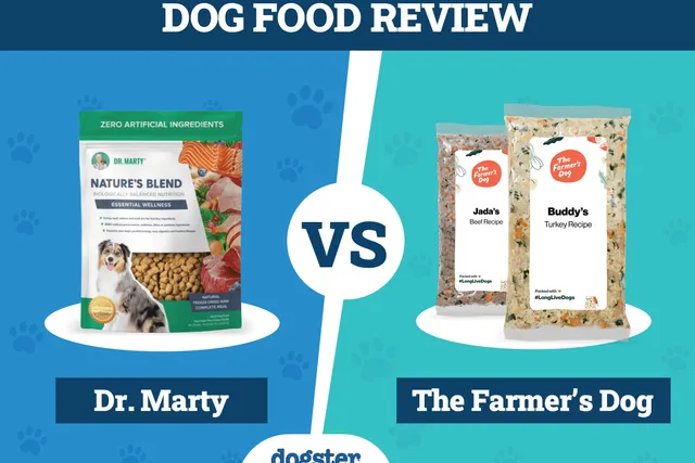 Dr. Marty Dog Food vs The Farmer’s Dog (2026 Comparison): Pros, Cons & What to Choose