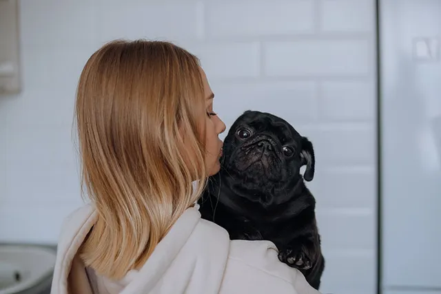 Is a Pug Good for a First-Time Dog Owner? Pros, Cons & Facts