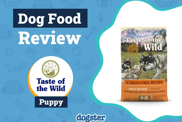 Taste of the Wild Dog Food Review 2026: Recalls, Pros & Cons