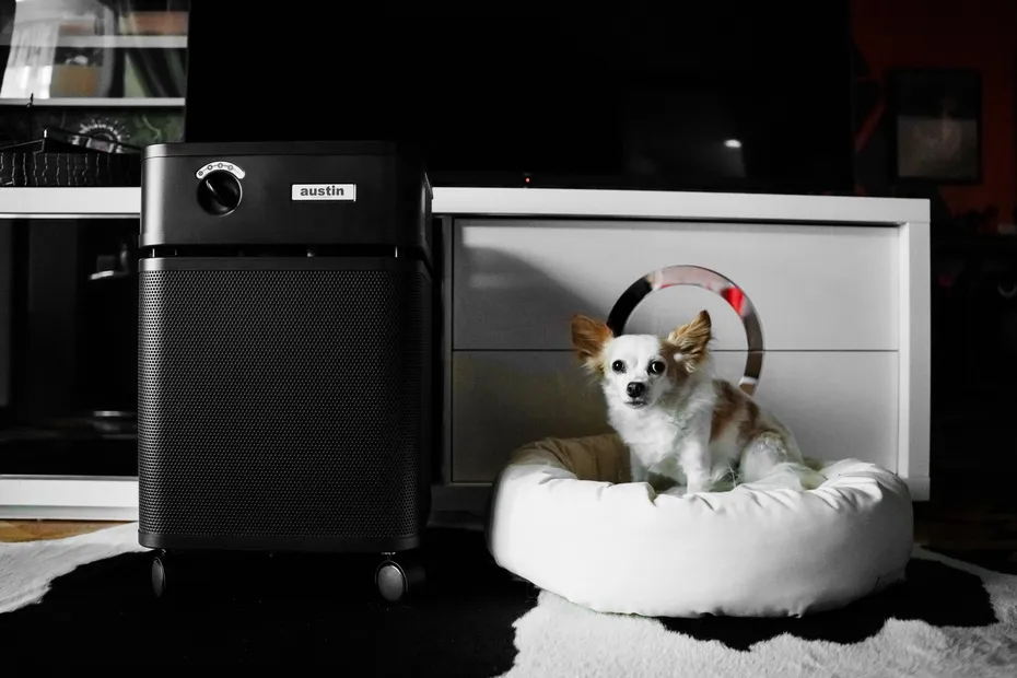 Austin Air air purifier