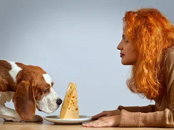 Why Do Dogs Love Cheese So Much? Vet-Verified Facts & Considerations