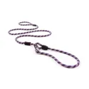 EzyDog Luca All-In-One Dog Slip Collar & Leash