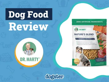 Dr. Marty Nature’s Blend Dog Food Review 2026: Our Expert’s Opinion