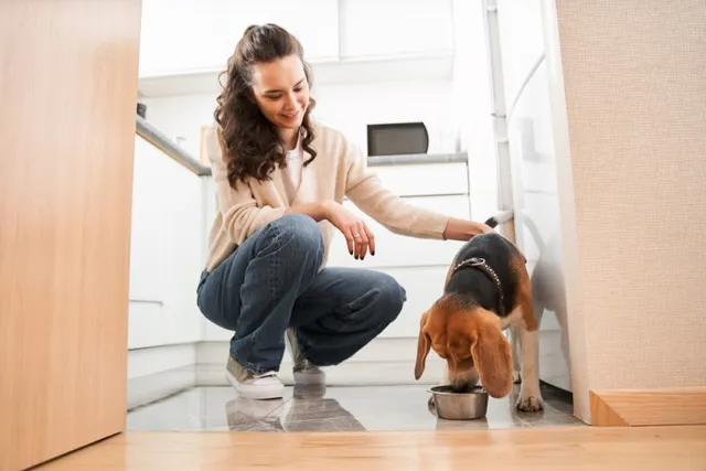 Are Beagles Hypoallergenic? Vet-Approved Allergy Tips & Breed Characteristics