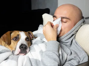 Do Dogs Know When You’re Sick? The Interesting Answer!