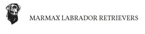 marmax labrador logo