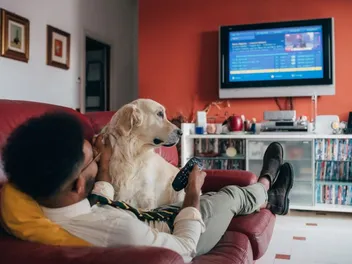 How to Stop a Dog from Barking at the TV: 6 Vet-Approved Tips