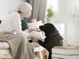Hospice Therapy Dogs: Vet-Reviewed Benefits for Patients