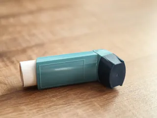 My Dog Chewed My Inhaler, Should I Worry? Our Vet Explains What to Do