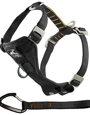 Kurgo Tru-Fit Enhanced Strength Crash Tested Smart Car Dog Harness