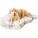 Paw Brands Orthopedic Bed