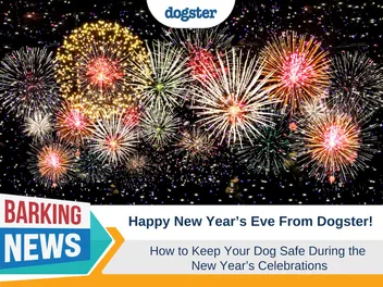 Happy New Year's Eve From Dogster - How to Keep Your Dog Safe During Fireworks