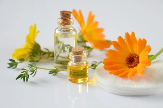 Calendula for Dogs: Vet-Approved Benefits & How to Use it