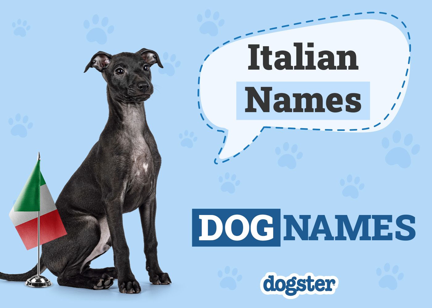 Dogster_Italian Names