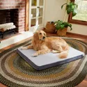 Frisco Cooling Orthopedic Pillow Dog Bed