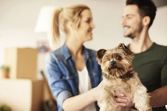 New Puppy Checklist: 23 Vet-Approved Supplies