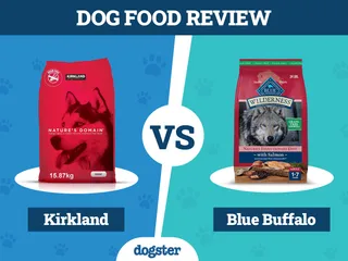 Kirkland vs Blue Buffalo Dog Food Comparison 2026: Which Is Better?