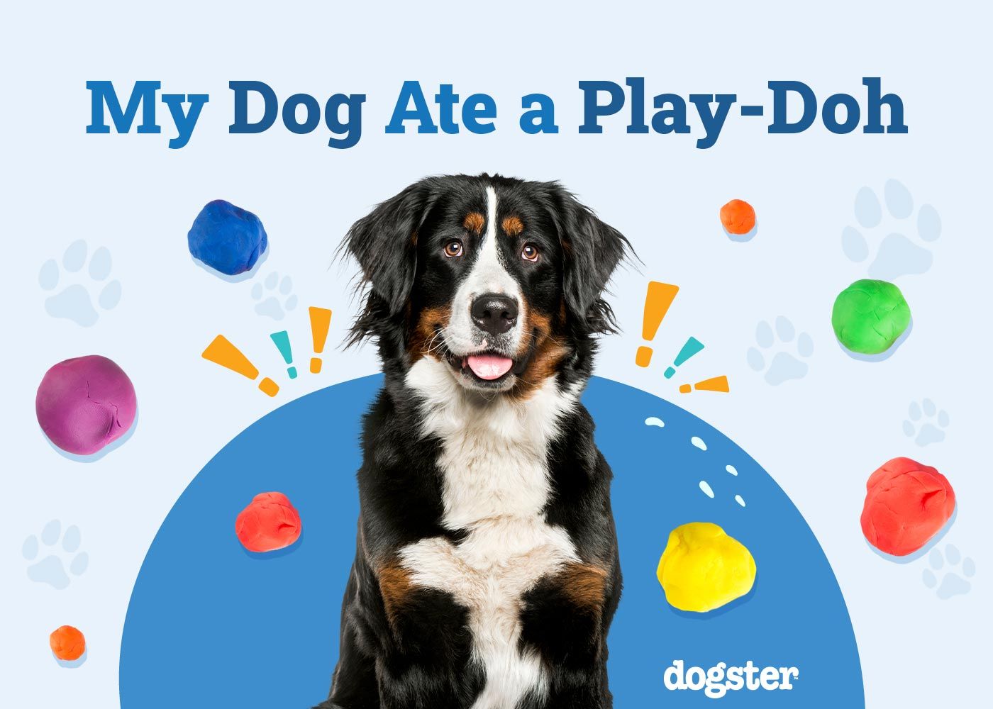 My Dog Ate Play-Doh