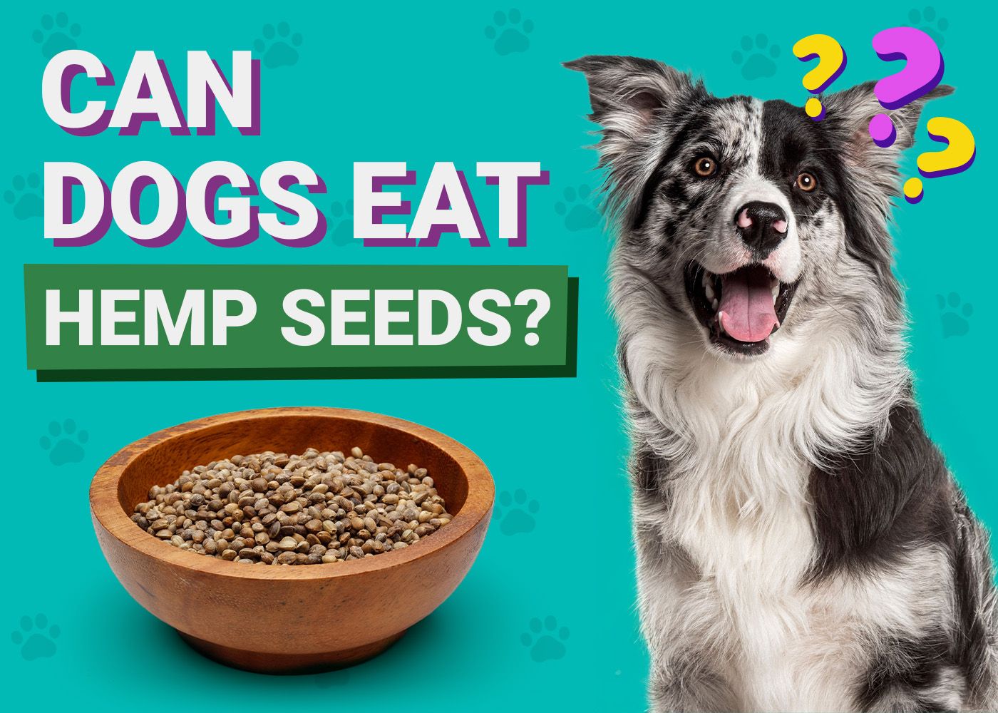 Can Dogs Eat_Hemp Seeds