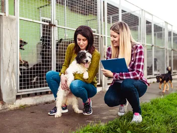 Why October Might Be the Best Month to Adopt a Shelter Dog!