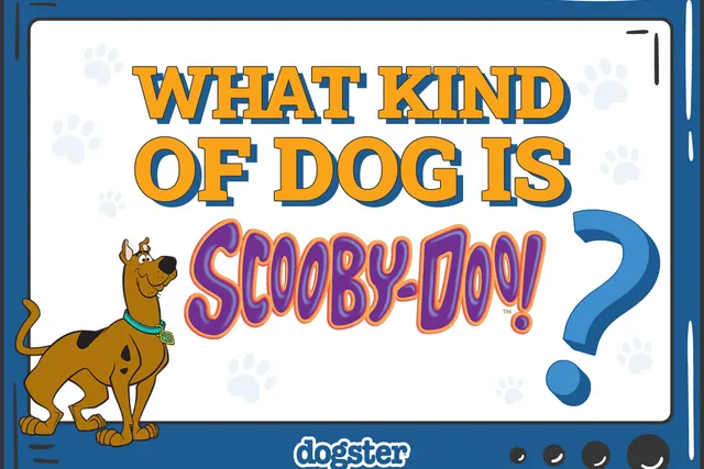 What Kind of Dog Is Scooby-Doo? Myths & Fun Facts