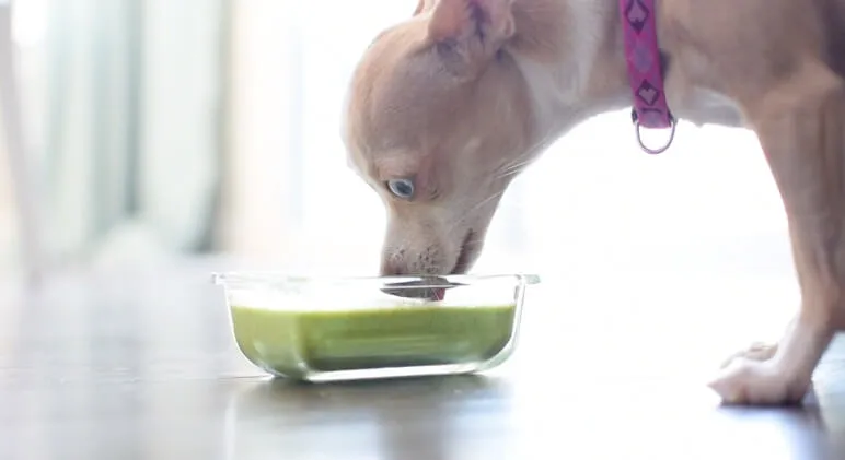 Green Smoothie