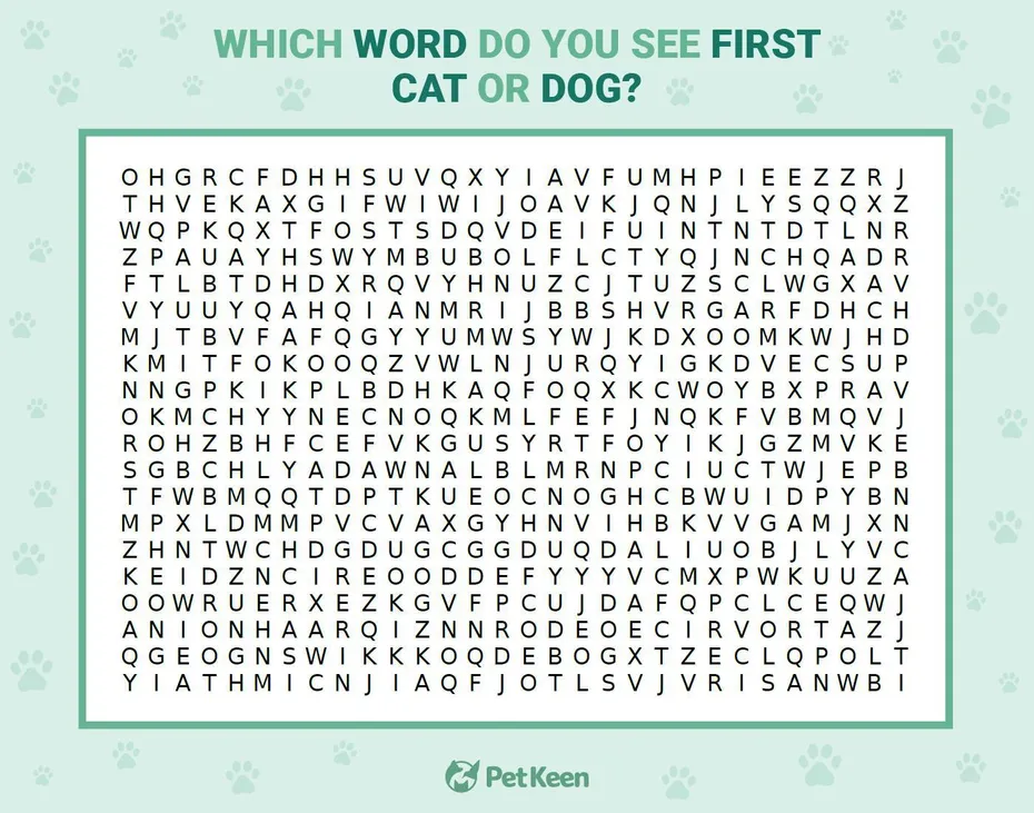 word search puzzle
