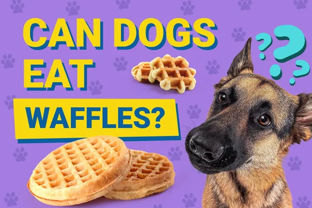 Can Dogs Eat Waffles? Vet-Verified Nutrition Facts & Risks