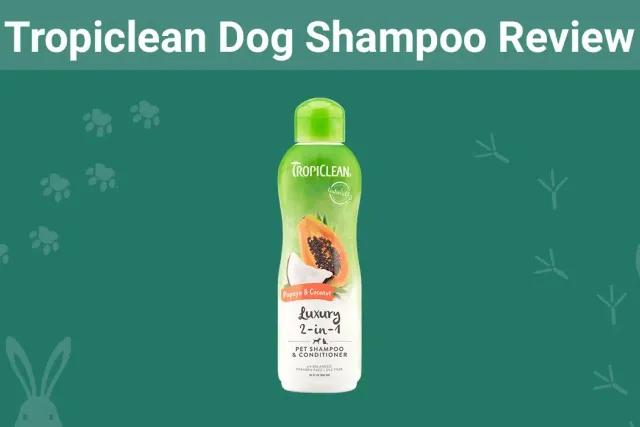 Tropiclean Dog Shampoo Review 2026