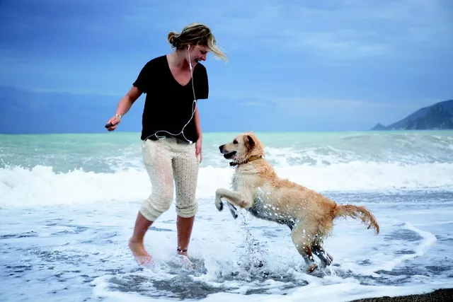 13 Vet-Approved Dog Beach Rules For A Great Day Out With Your Pup