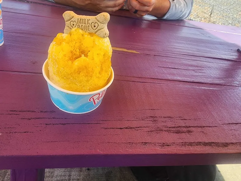 A Pelican's "Pup" Cone.