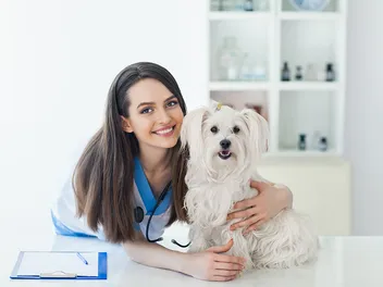 Seasonal Allergies in Dogs: Signs, Causes, Care & FAQ (Vet Answer)