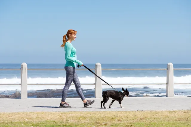 How to Hire a Dog Walker: 5 Vet-Approved Steps & What to Ask