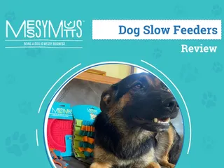 Messy Mutts Feeding Mats Review 2026: An Expert's Breakdown