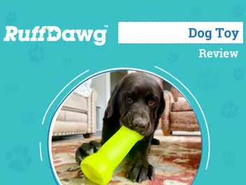 RuffDawg Crinkit Dog Toy Review 2026: An Expert's Breakdown