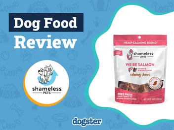 Shameless Pets Dog Treats Review 2026: Our Expert’s Opinion