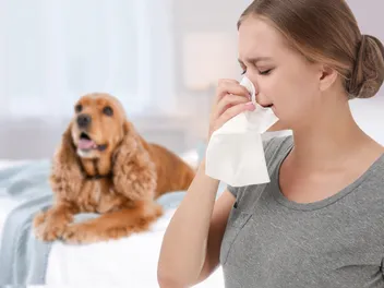 Are You Allergic to Dog Dander? 12 Vet-Approved Things to Do