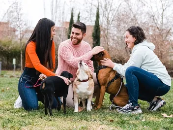 8 Great Benefits & Reasons to Join a Dog Group