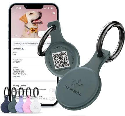 PawsRealm NFC & QR Code Pet ID Tag