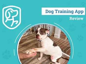 Woofz Dog Training App Review 2026: An Expert's Breakdown