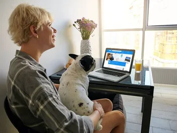 How to Find an Affordable Vet? 11 Vet-Approved Tips