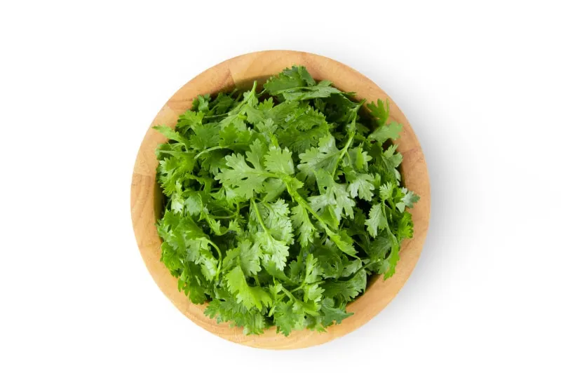 a bowl of coriander leaves
